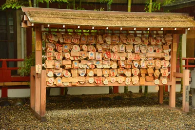 DSC_3189 (Large).JPG